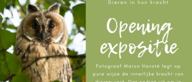 Nieuwsbericht: Expositie 'Dieren in hun kracht' en gratis workshop
